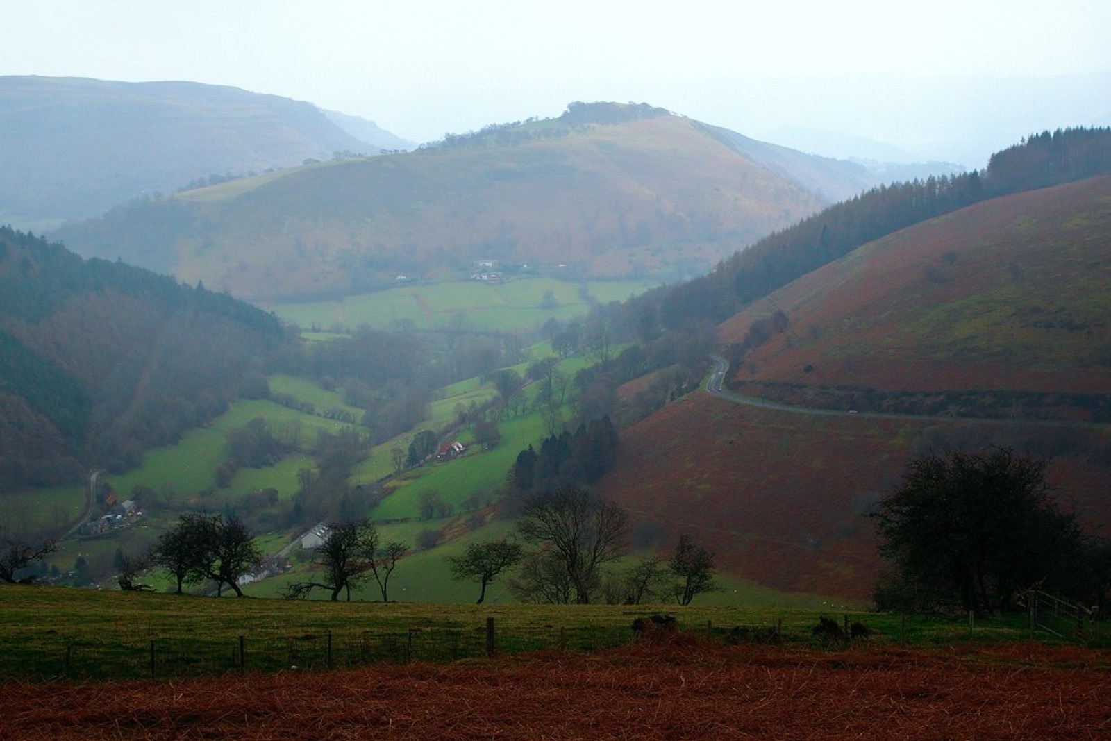 A green valley of small farms below a misty hillside
