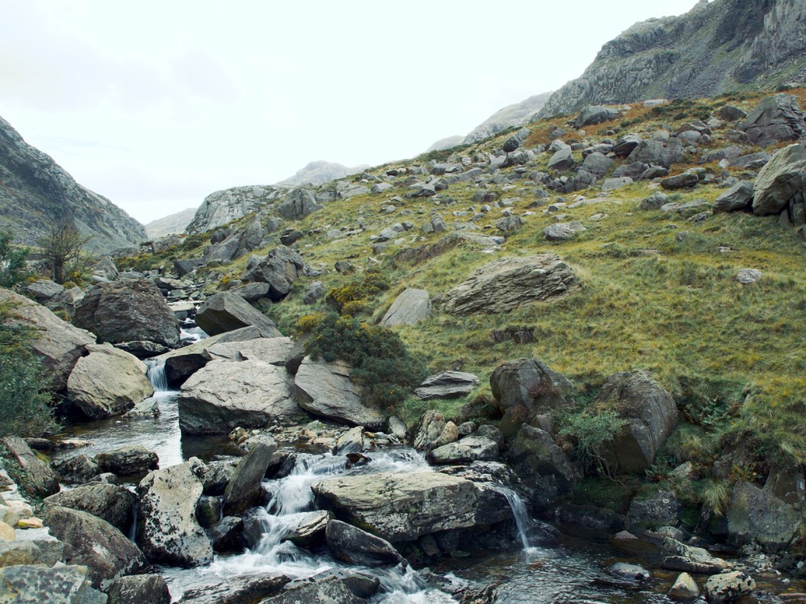 A rocky mountain stream running down through boulders and gorse